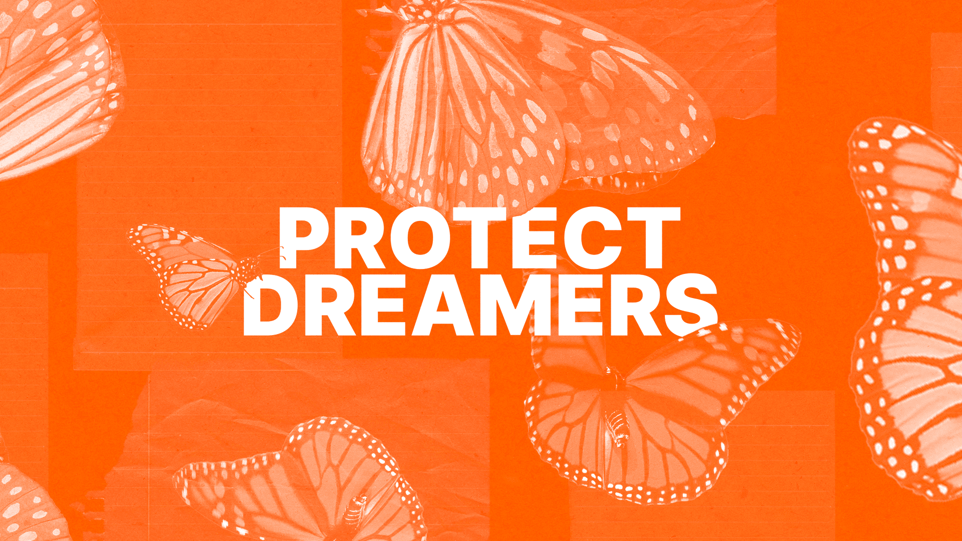 Butterfly collage surround text reading "protect dreamers"