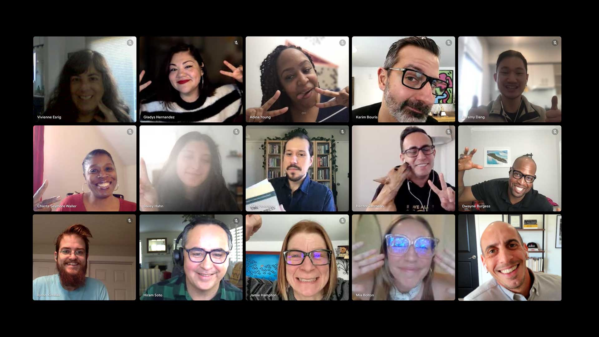 Group photo of Mixte team doing silly faces on video chat