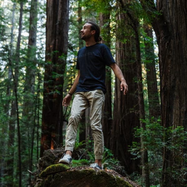 Person standing on tree trunk in forest